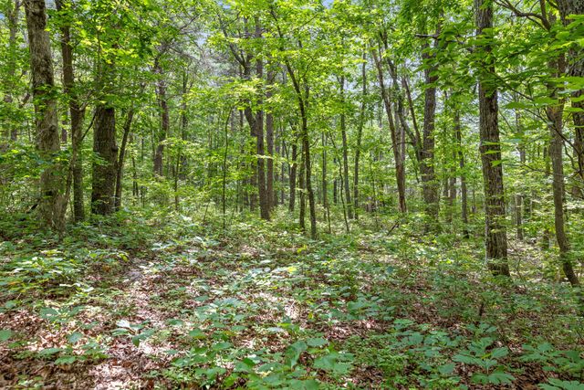 27 Highway 157, Menlo, GA 30731