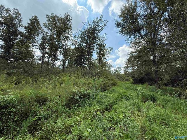 10 Acres Brown Road, Boaz, AL 35957