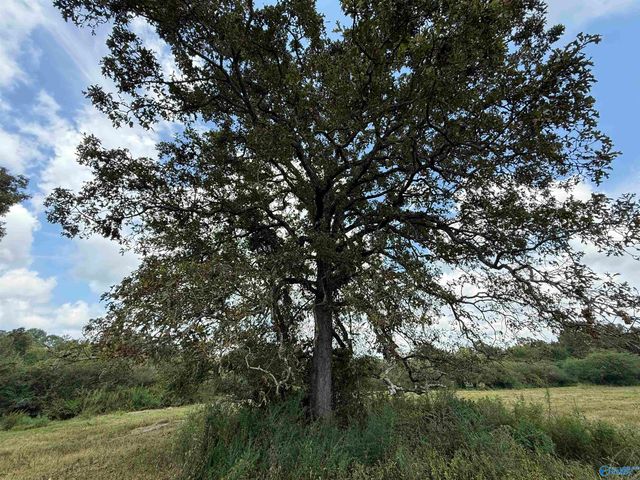 10 Acres Brown Road, Boaz, AL 35957