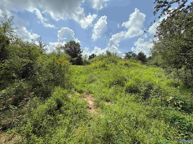 10 Acres Brown Road, Boaz, AL 35957