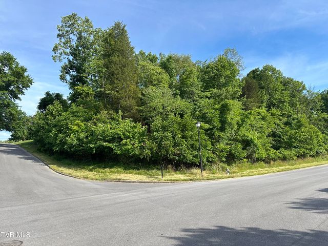 Lots 9 &10 White Street, Kingsport, TN 37664