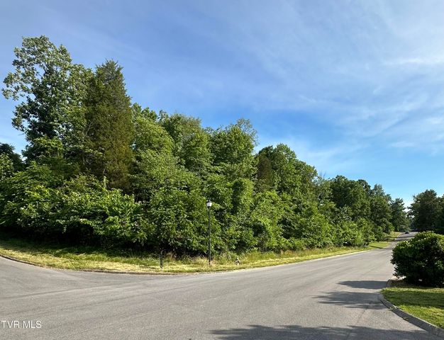 Lots 9 &10 White Street, Kingsport, TN 37664