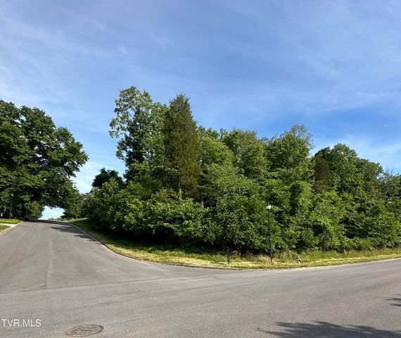 Lots 9 &10 White Street, Kingsport, TN 37664