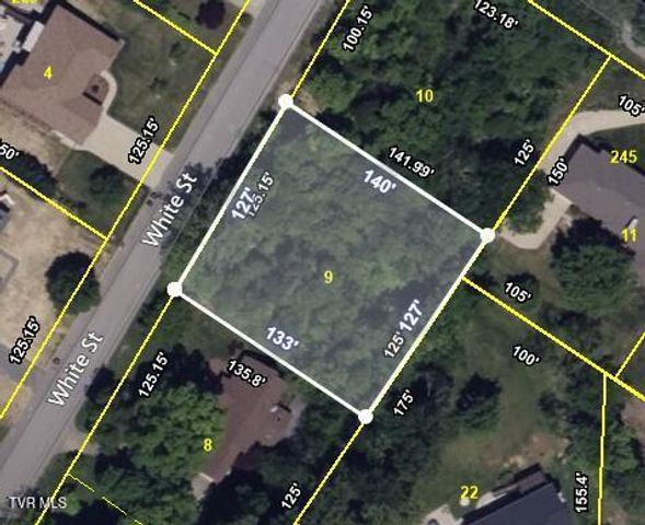 Lots 9 &10 White Street, Kingsport, TN 37664
