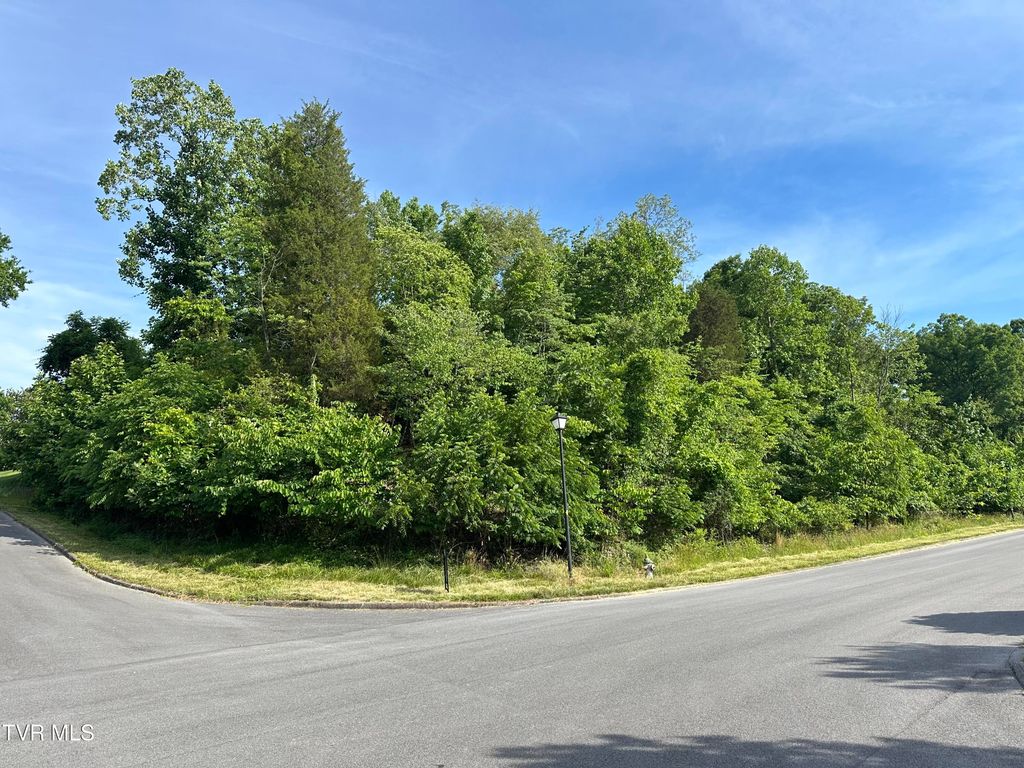 Lots 9 &10 White Street, Kingsport, TN 37664