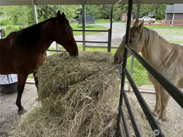 40407 Mountain Highway E, Eatonville, WA 98328