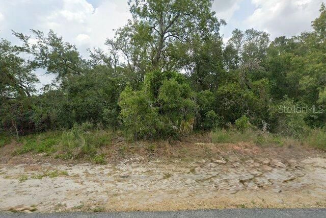 10381 CLARION STREET, Spring Hill, FL 34608