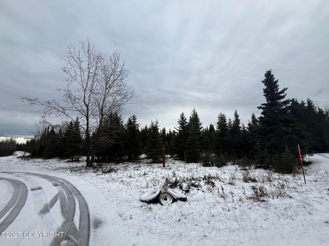 65201 Chamberlain Avenue, Ninilchik, AK 99639