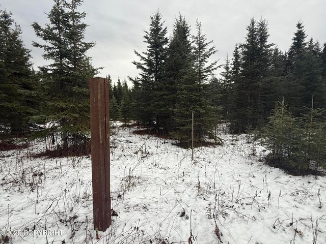 65201 Chamberlain Avenue, Ninilchik, AK 99639