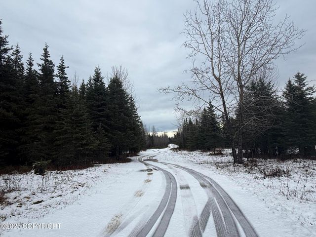 65201 Chamberlain Avenue, Ninilchik, AK 99639