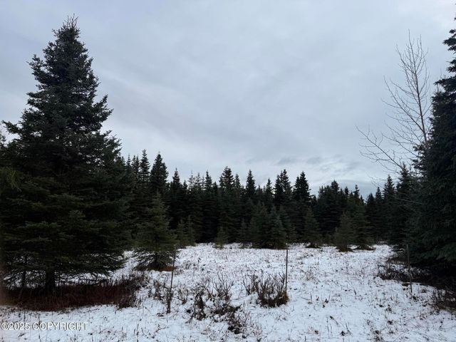 65201 Chamberlain Avenue, Ninilchik, AK 99639