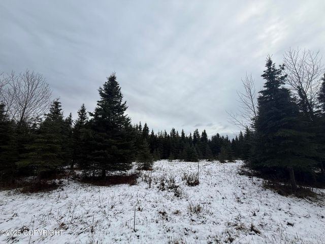 65201 Chamberlain Avenue, Ninilchik, AK 99639