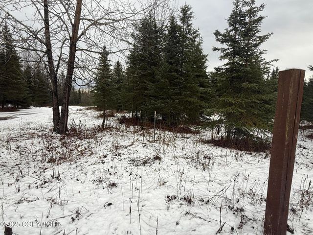 65201 Chamberlain Avenue, Ninilchik, AK 99639