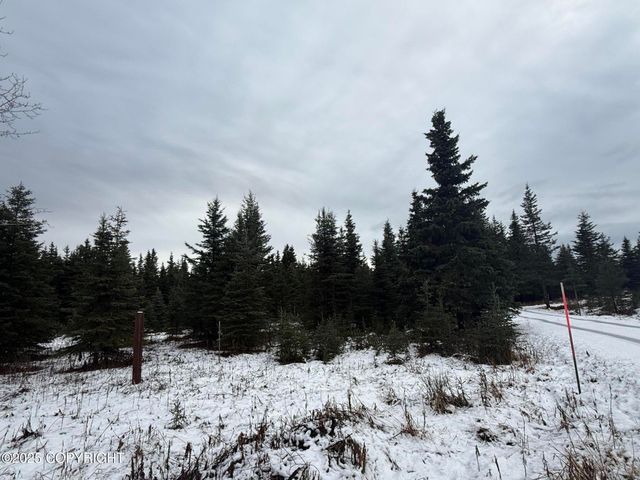 65201 Chamberlain Avenue, Ninilchik, AK 99639