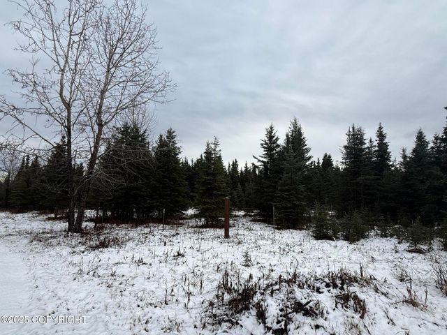 65201 Chamberlain Avenue, Ninilchik, AK 99639