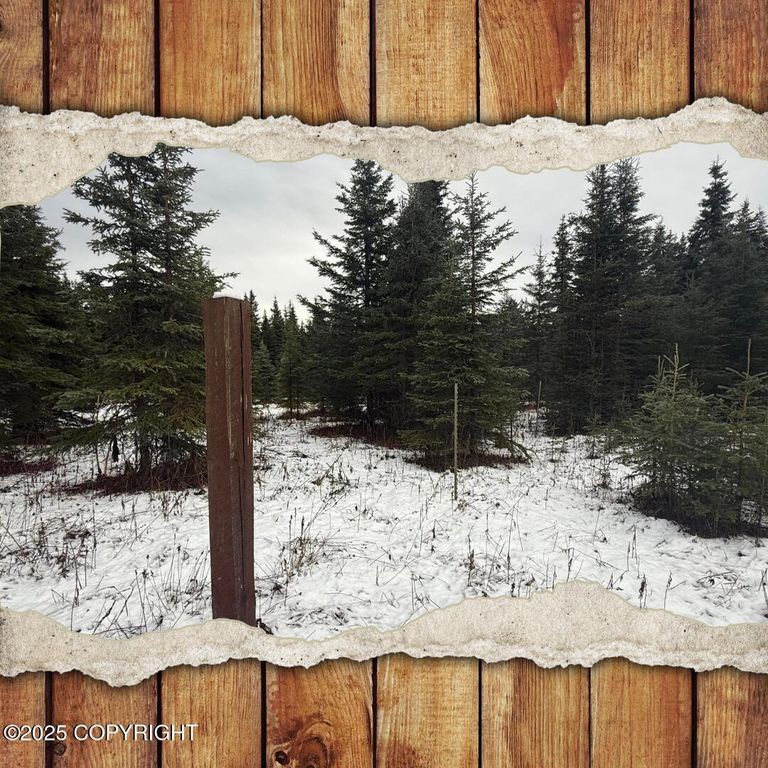 65201 Chamberlain Avenue, Ninilchik, AK 99639