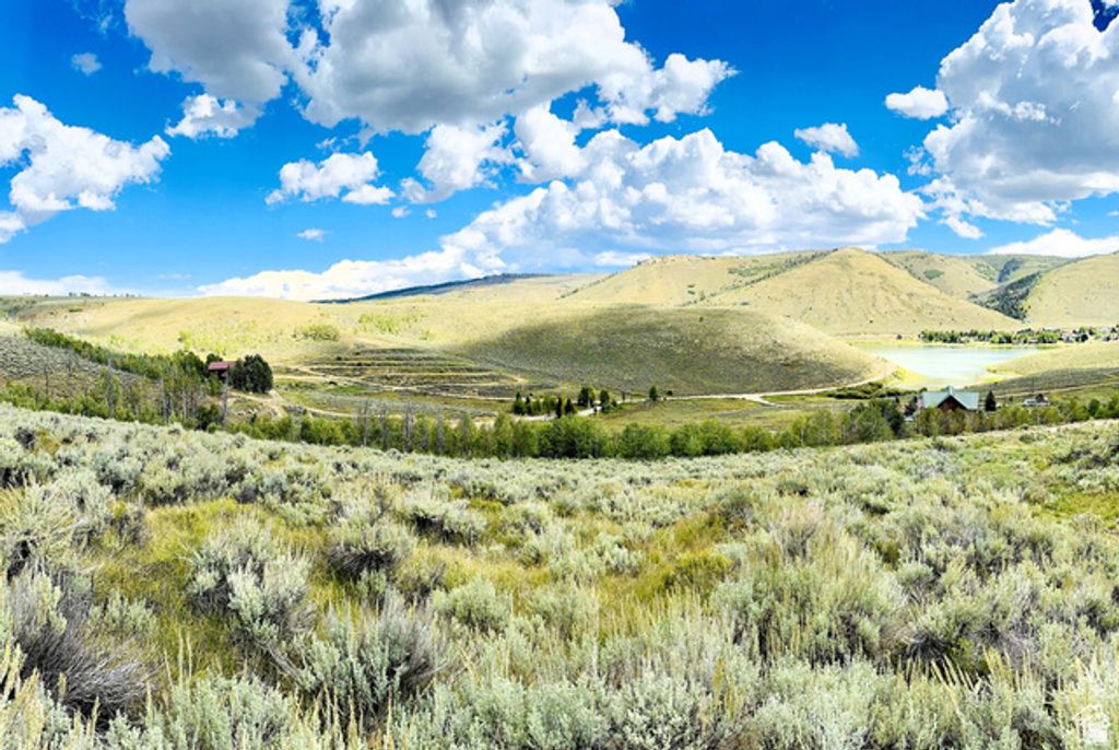 Image 4 of property listing at 6 Aspen Cove Dr Unit 6, Scofield, UT 84526