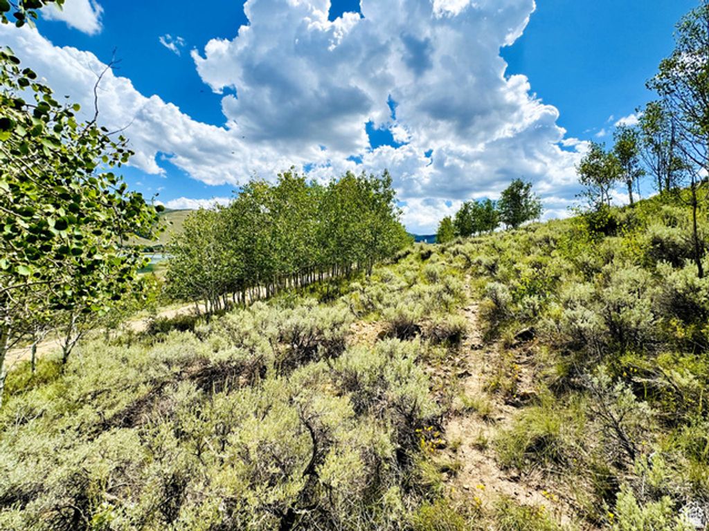 Image 6 of property listing at 6 Aspen Cove Dr Unit 6, Scofield, UT 84526