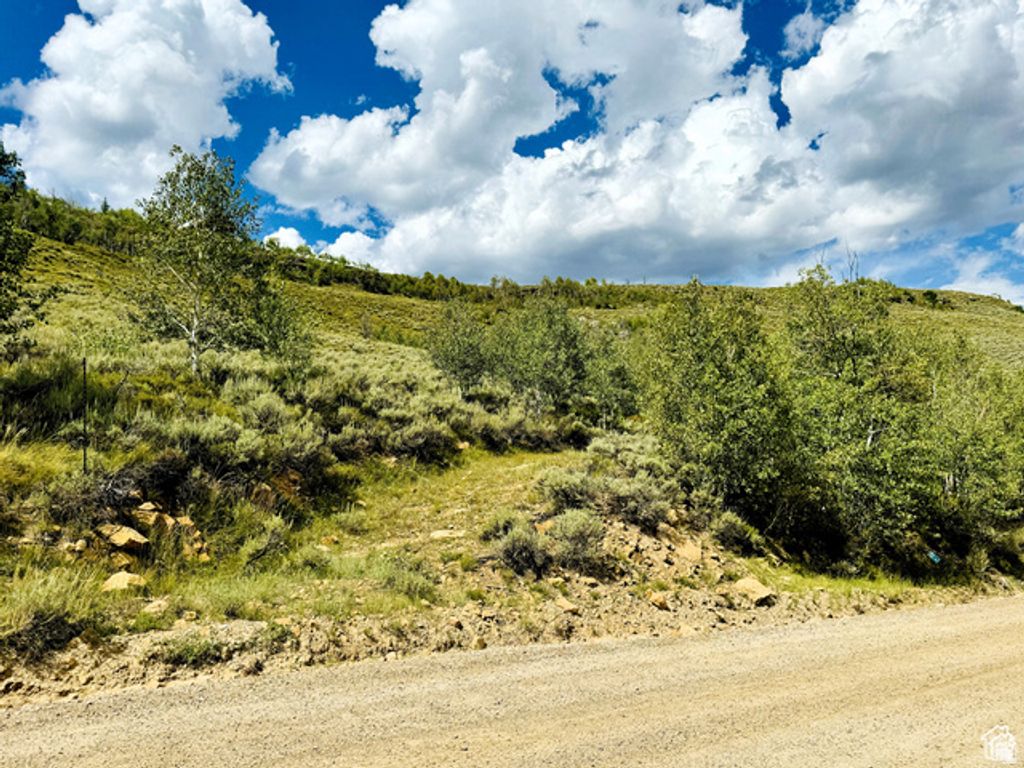 Image 9 of property listing at 6 Aspen Cove Dr Unit 6, Scofield, UT 84526