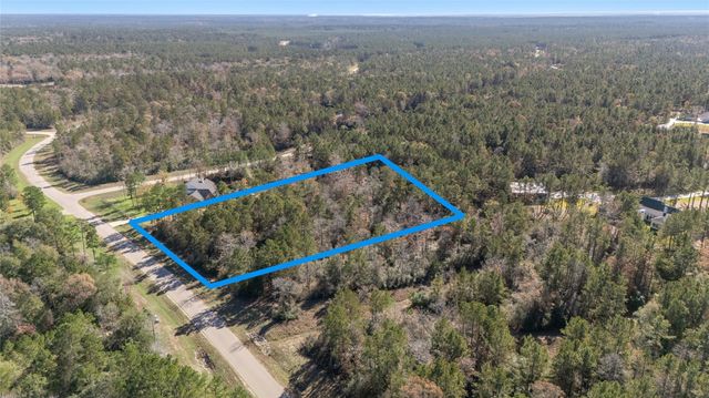 10674 Ruger Road, Willis, TX 77378