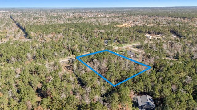 10674 Ruger Road, Willis, TX 77378