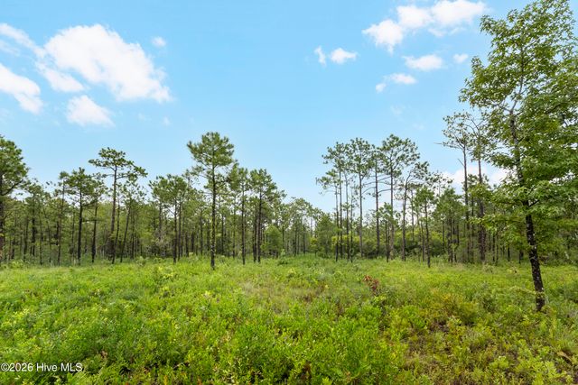 Tract 4 Hwy 17 Off, Hampstead, NC 28443