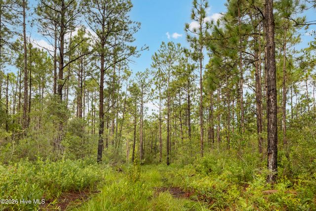 Tract 4 Hwy 17 Off, Hampstead, NC 28443