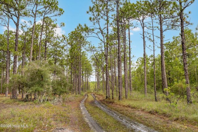 Tract 4 Hwy 17 Off, Hampstead, NC 28443