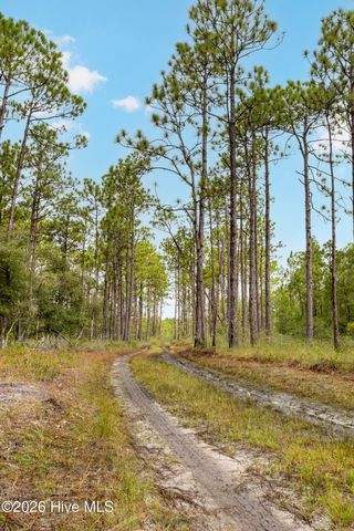 Tract 4 Hwy 17 Off, Hampstead, NC 28443
