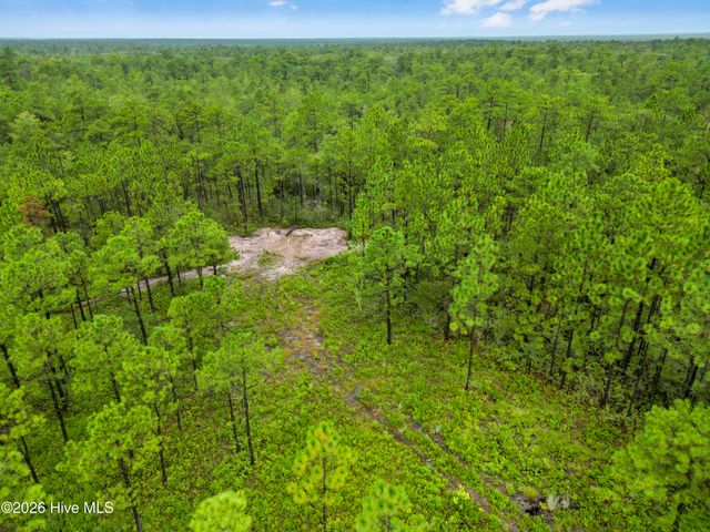 Tract 4 Hwy 17 Off, Hampstead, NC 28443