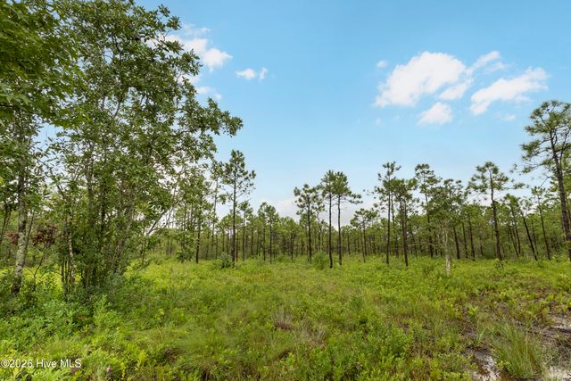 Tract 4 Hwy 17 Off, Hampstead, NC 28443