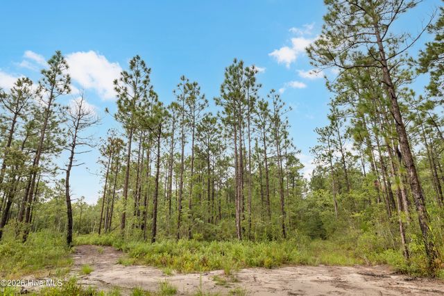 Tract 4 Hwy 17 Off, Hampstead, NC 28443