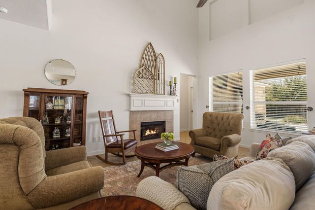 22315 Bridgestone Palm Court, Spring, TX 77388
