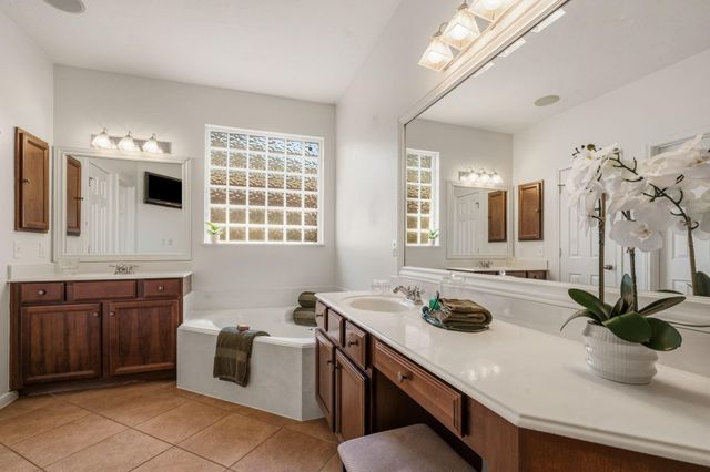 22315 Bridgestone Palm Court, Spring, TX 77388