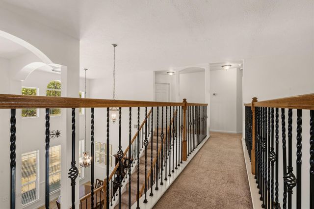 22315 Bridgestone Palm Court, Spring, TX 77388