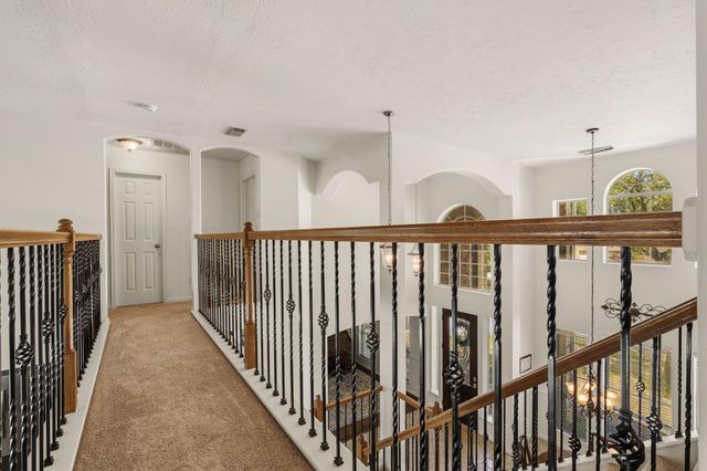 22315 Bridgestone Palm Court, Spring, TX 77388