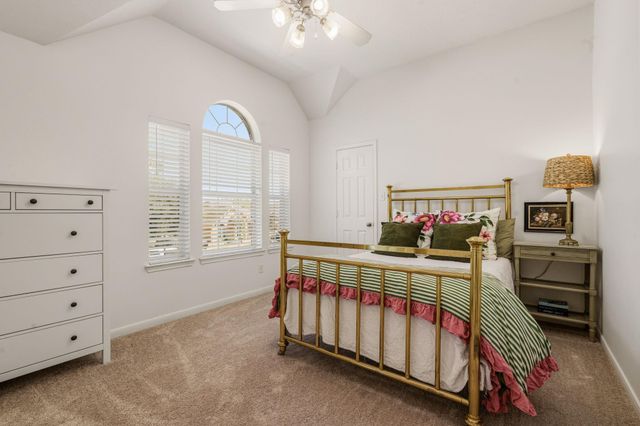 22315 Bridgestone Palm Court, Spring, TX 77388