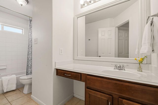 22315 Bridgestone Palm Court, Spring, TX 77388