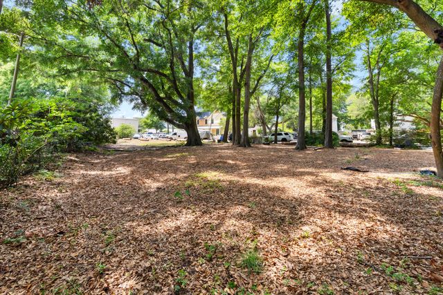 0 Toler Drive, Mount Pleasant, SC 29464