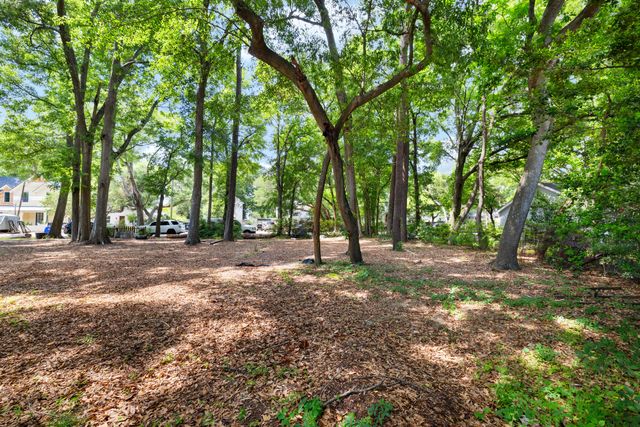 0 Toler Drive, Mount Pleasant, SC 29464