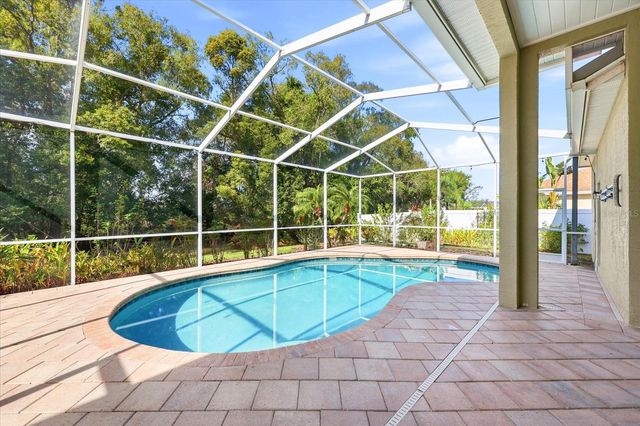 15102 ARBOR HOLLOW DRIVE, Odessa, FL 33556