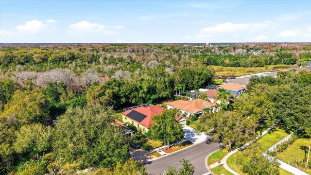 15102 ARBOR HOLLOW DRIVE, Odessa, FL 33556