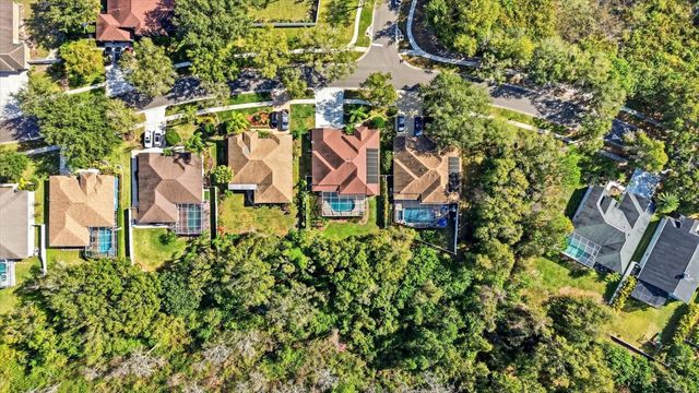 15102 ARBOR HOLLOW DRIVE, Odessa, FL 33556