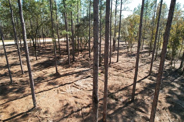 93RD TERRACE, Archer, FL 32618