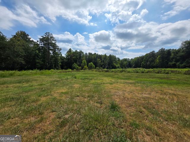 177 Bidne Drive, Senoia, GA 30276