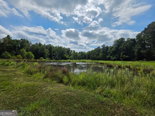 177 Bidne Drive, Senoia, GA 30276