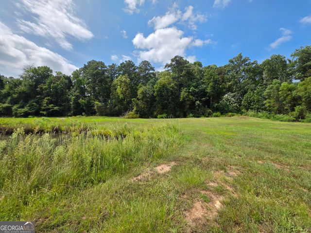 177 Bidne Drive, Senoia, GA 30276