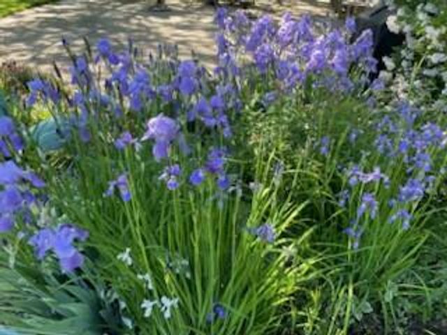 3265 San Juan TRAIL, Brookfield, WI 53005