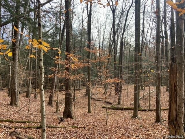 Glenwild Drive, Smallwood, NY 12778