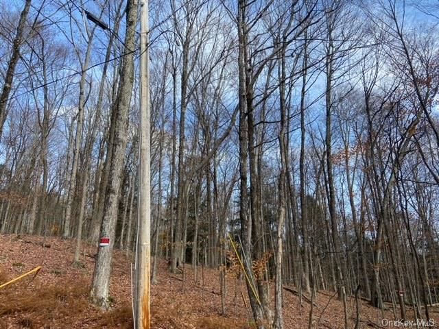 Glenwild Drive, Smallwood, NY 12778